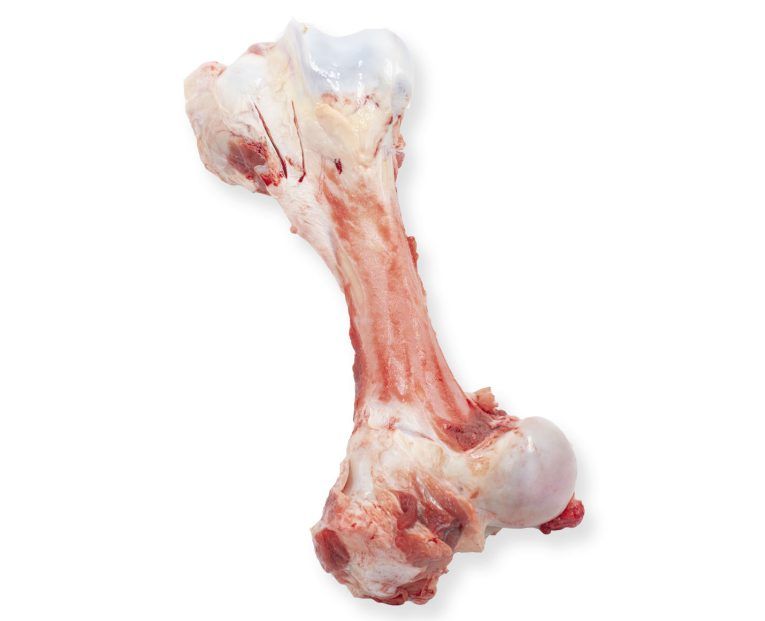 dieta barf hueso pierna de ternera