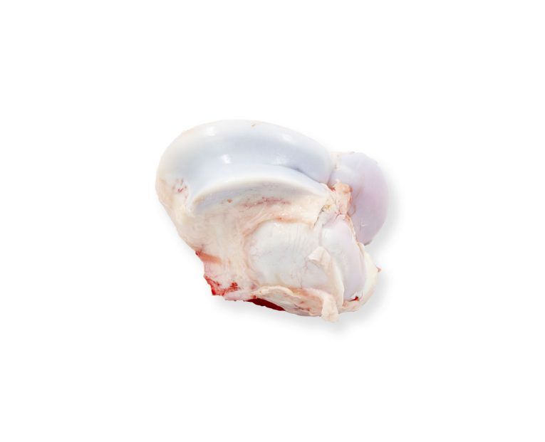 dieta barf hueso rodilla de ternera