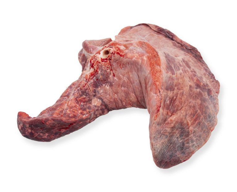 pulmon ternera perro gato bar