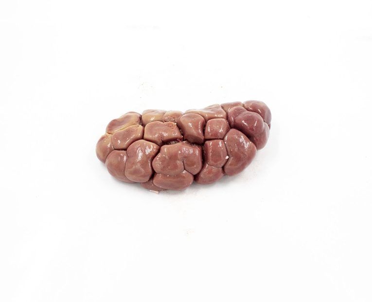 dieta barf riñón de ternera